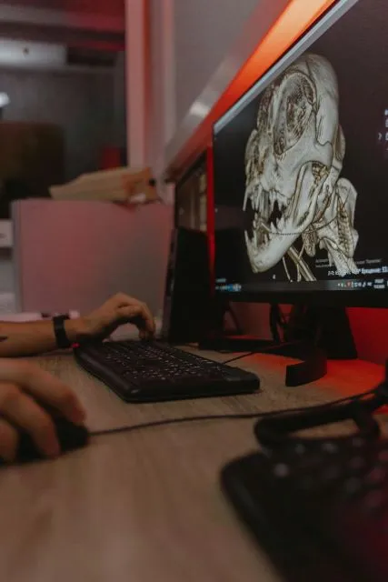A veterinary radiologist reviewing a skull radiograph at a reporting workstation